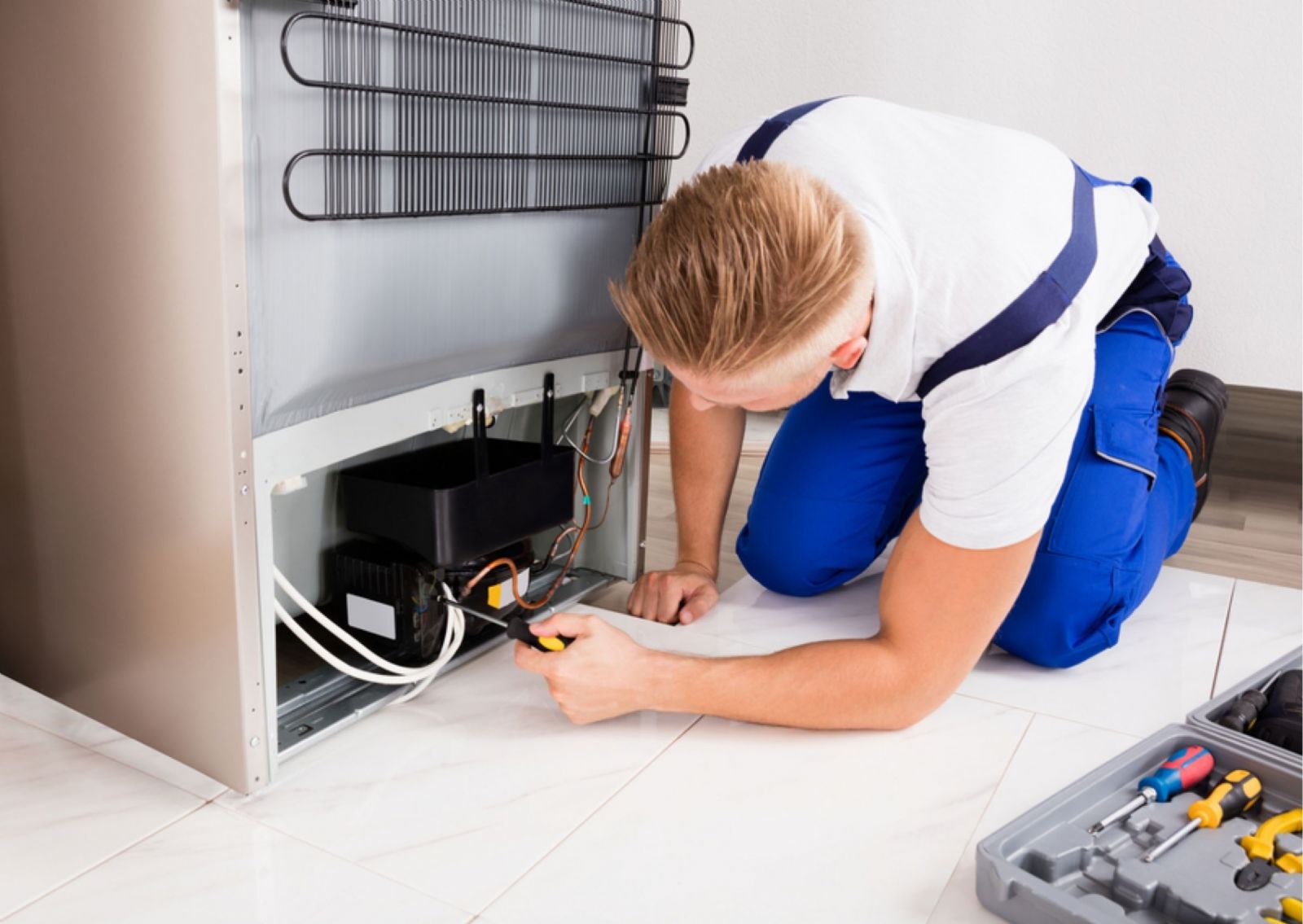 Subayevleri derin dondurucu Servisi